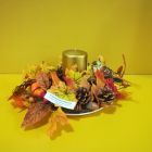IMG_20201103_102544.jpg