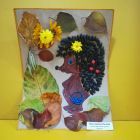 IMG_20201103_102946.jpg